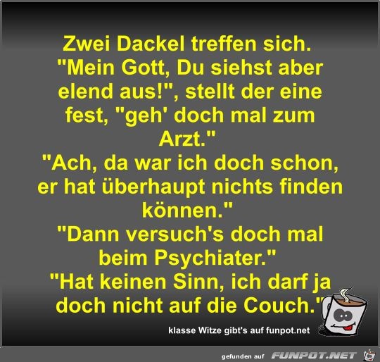 Zwei Dackel treffen sich