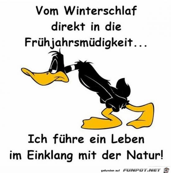 vom Winterschlaf......