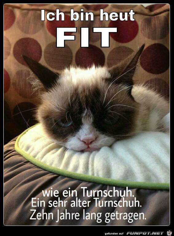 Bin fit Bin fit