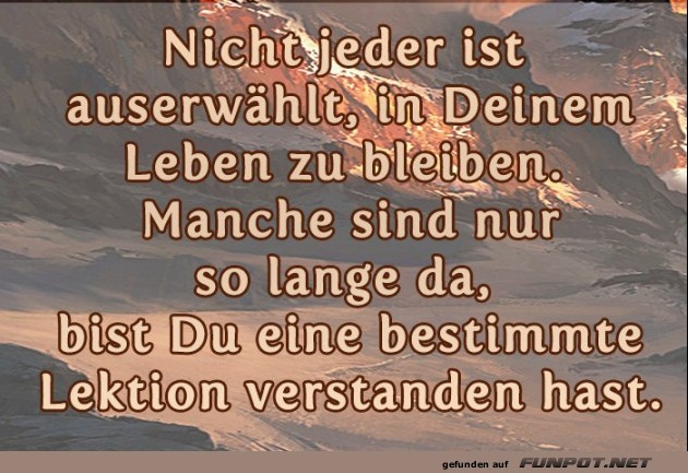 Nicht jeder Nicht jeder