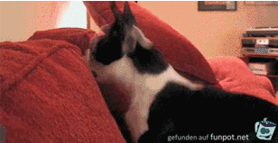 Aufgekratztes Kerlchen Aufgekratztes Kerlchen