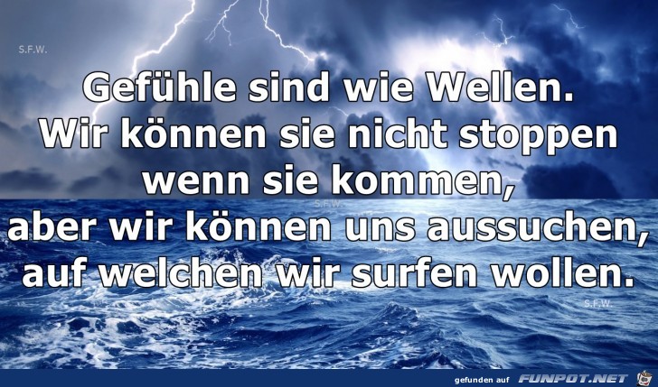 Gefuehle sind Gefuehle sind