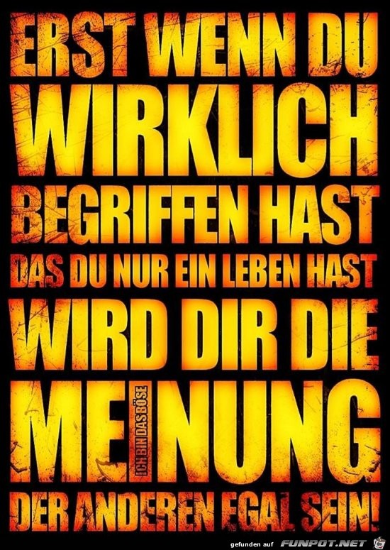Meinung Meinung