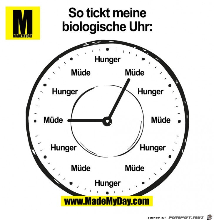 Meine biologische Uhr