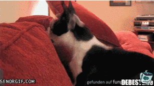 Durchgedreht Durchgedreht