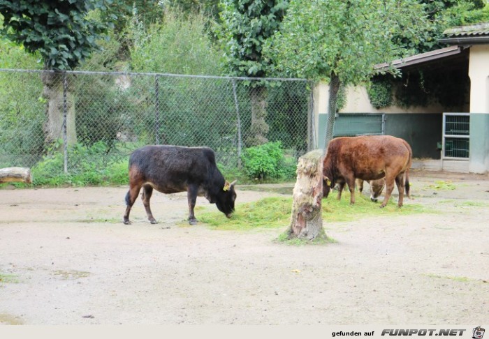 Impressionen aus Hagenbecks Tierpark Teil 3