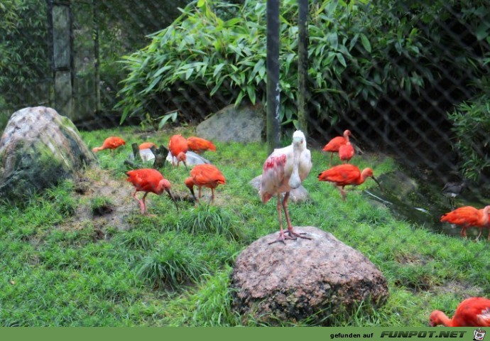 Impressionen aus Hagenbecks Tierpark Teil 3