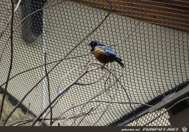 Impressionen aus Hagenbecks Tierpark Teil 3