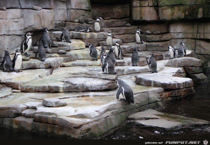 Impressionen aus Hagenbecks Tierpark Teil 3