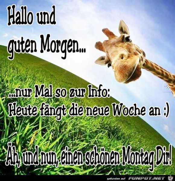 Montag Montag