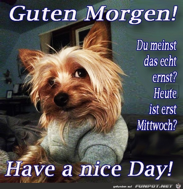 Mittwoch Mittwoch