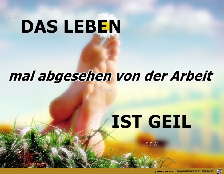 Das Leben Das Leben