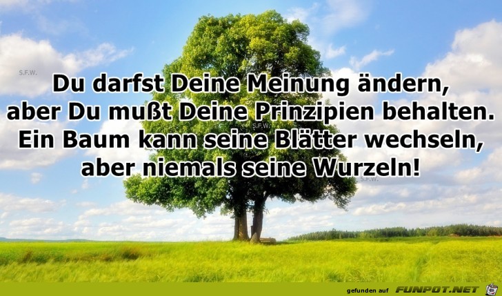 Du darfst Deine