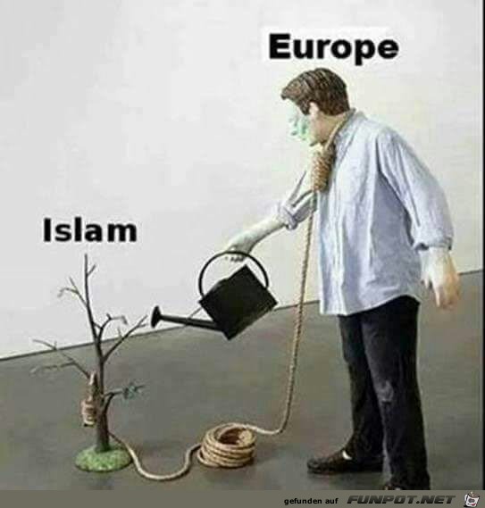 Europa Europa