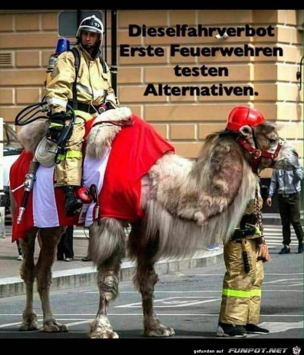 Dieselfahrverbot Dieselfahrverbot