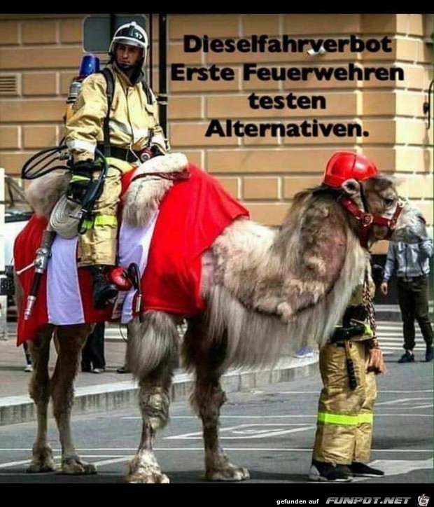 Dieselfahrverbot