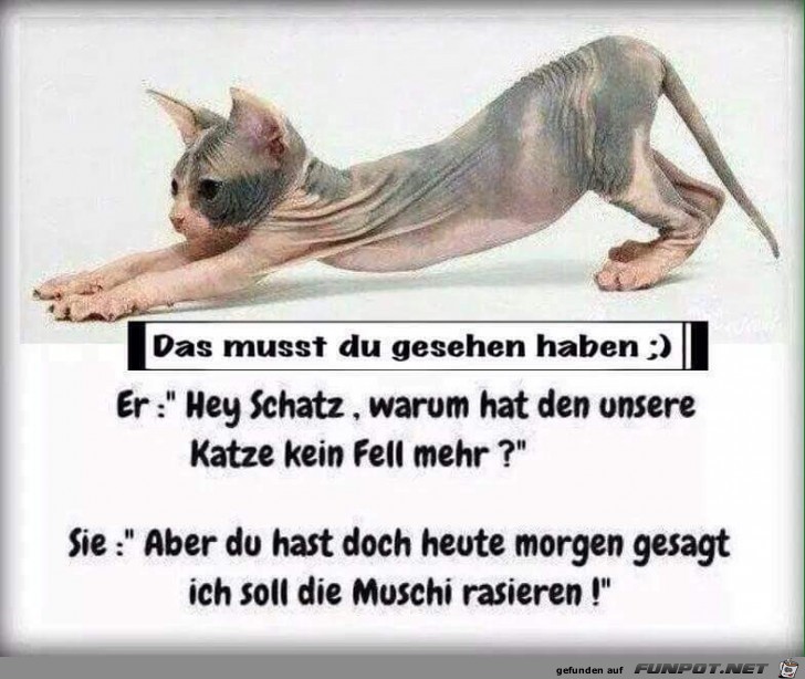 das musst du gesehen haben