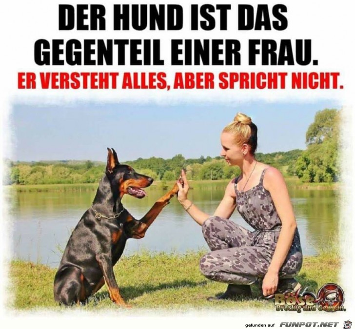 der Hund der Hund