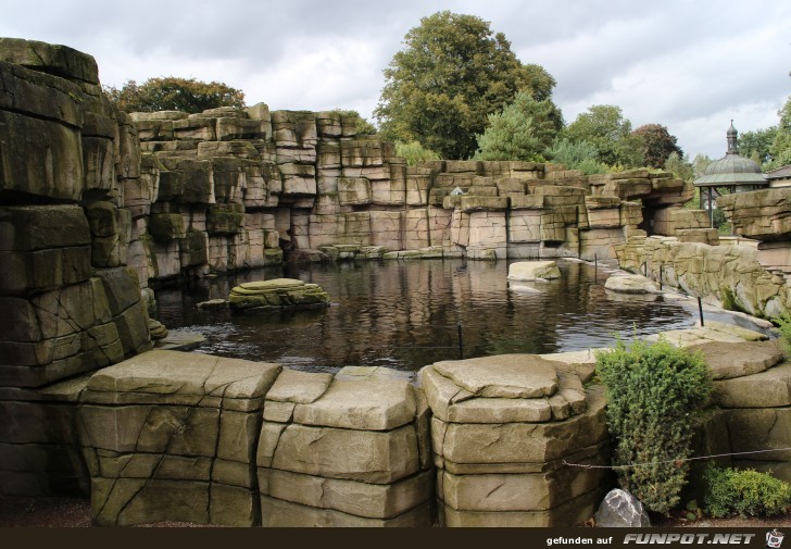 Hagenbeck37 Seebaeren keiner da Hagenbeck37 Seebaeren keiner da