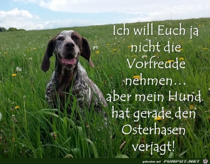 Vorfreude nehmen Vorfreude nehmen