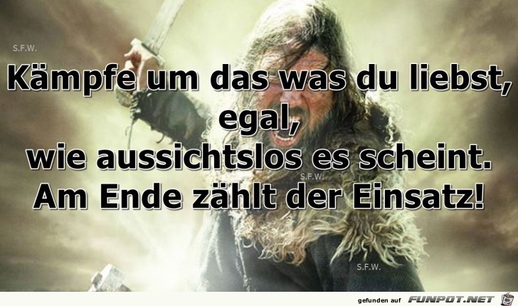 Kaempfe Kaempfe