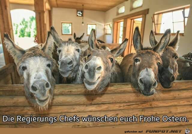 Frohe Ostern von den Regierungschefs Frohe Ostern von den Regierungschefs