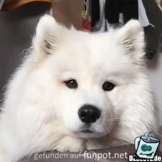 Veräppelt Veräppelt
