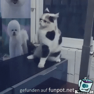 Tanzen ist klasse Tanzen ist klasse