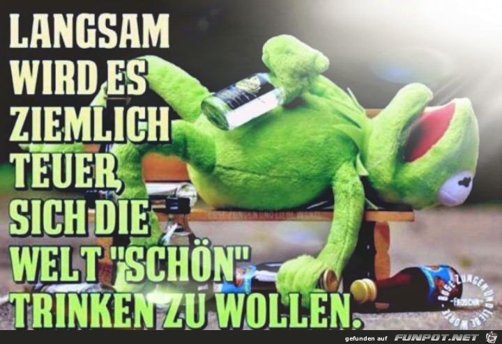 Teuer Teuer