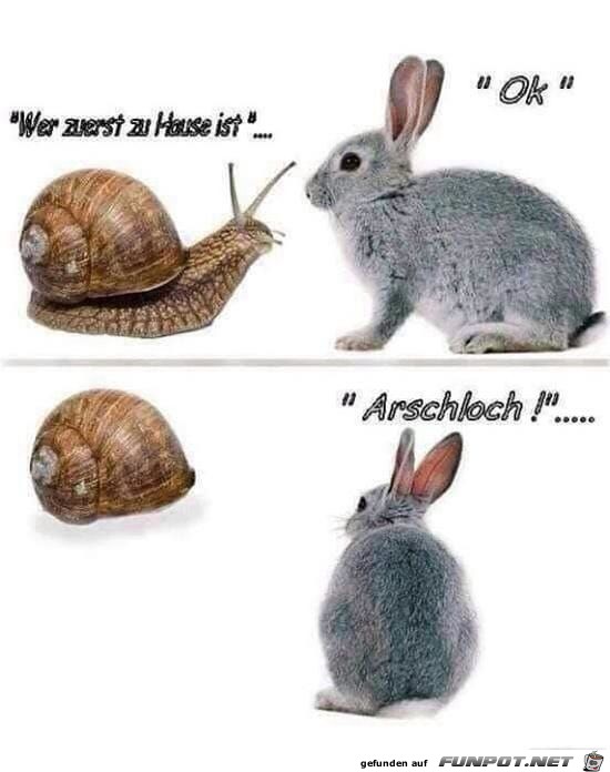 Wer zuerst zu hause ist Wer zuerst zu hause ist