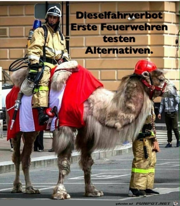 Dieselfahrverbot