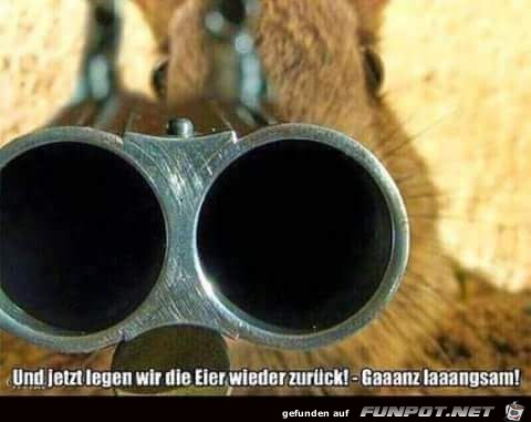 Eier zurücklegen Eier zurücklegen