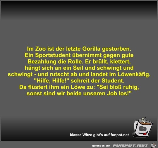 Im Zoo ist der letzte Gorilla gestorben