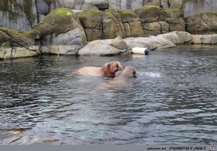 Impressionen aus Hagenbecks Tierpark Teil 5