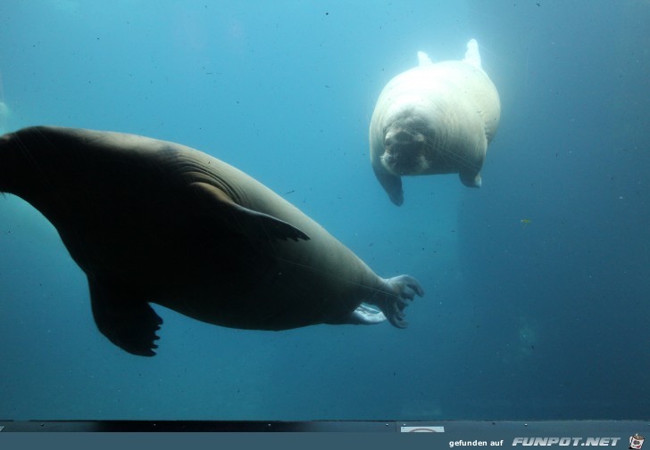 Impressionen aus Hagenbecks Tierpark Teil 5