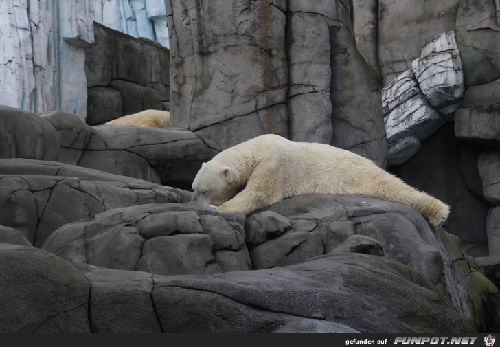 Impressionen aus Hagenbecks Tierpark Teil 5