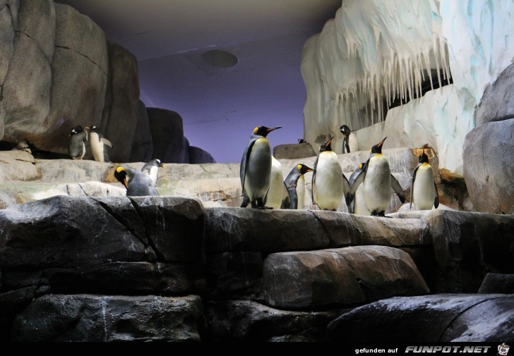 Impressionen aus Hagenbecks Tierpark Teil 5