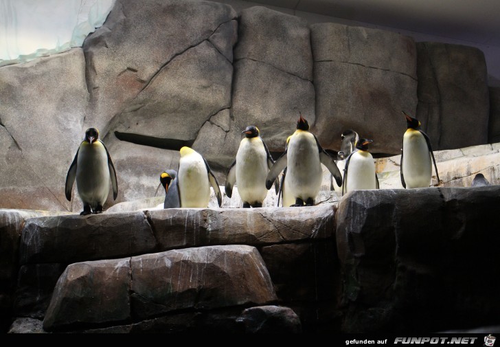 Impressionen aus Hagenbecks Tierpark Teil 5