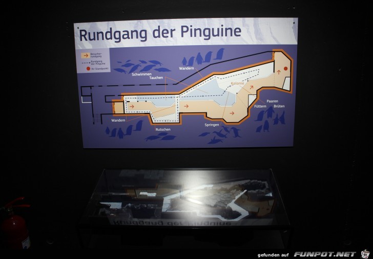Hagenbeck42 Antarktische Pinguine5 Hagenbeck42 Antarktische Pinguine5