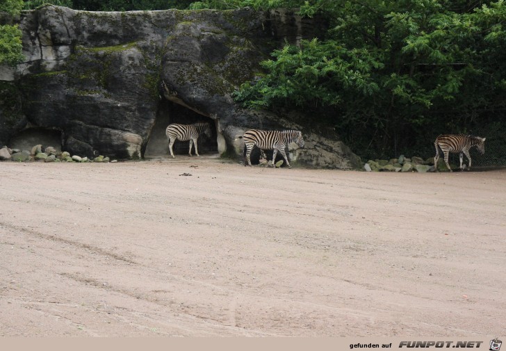 Impressionen aus Hagenbecks Tierpark Teil 5