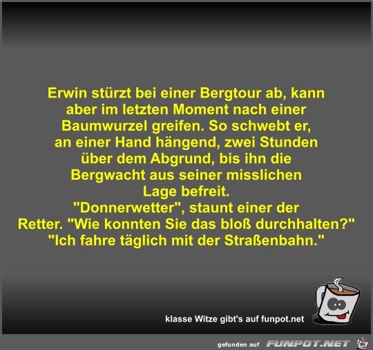 Erwin strzt bei einer Bergtour ab