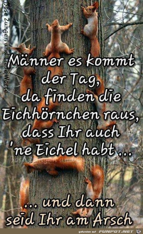 Männer es kommt der Tag Männer es kommt der Tag