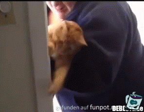 Ich bleib drin Ich bleib drin
