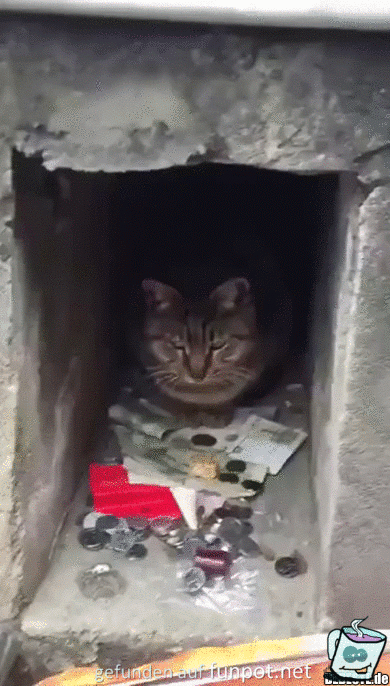 Das ist alles meins Das ist alles meins