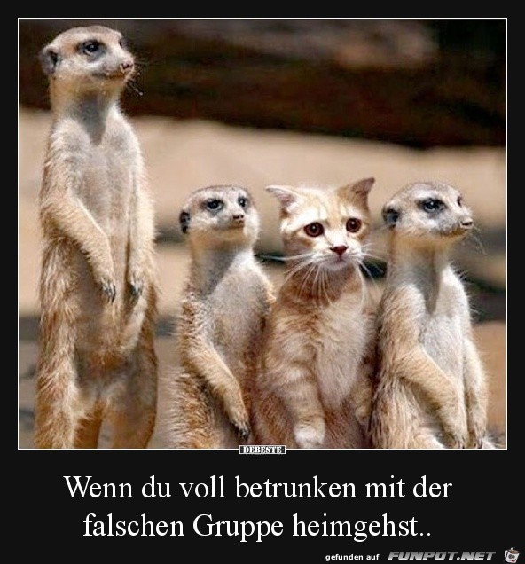 Dumm gelaufen Dumm gelaufen