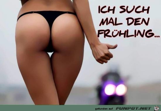 Frühling suchen Frühling suchen
