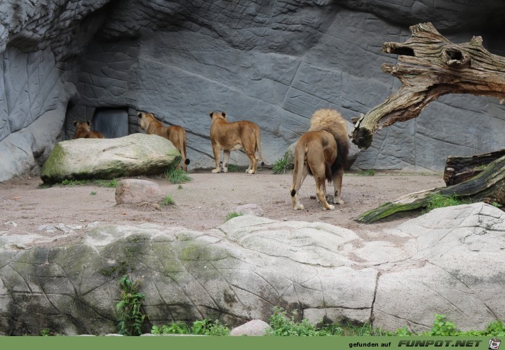 Impressionen aus Hagenbecks Tierpark Teil 6