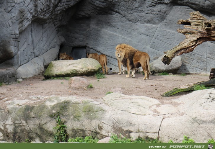 Impressionen aus Hagenbecks Tierpark Teil 6