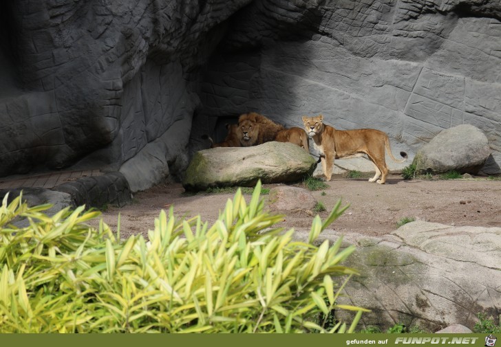 Impressionen aus Hagenbecks Tierpark Teil 6