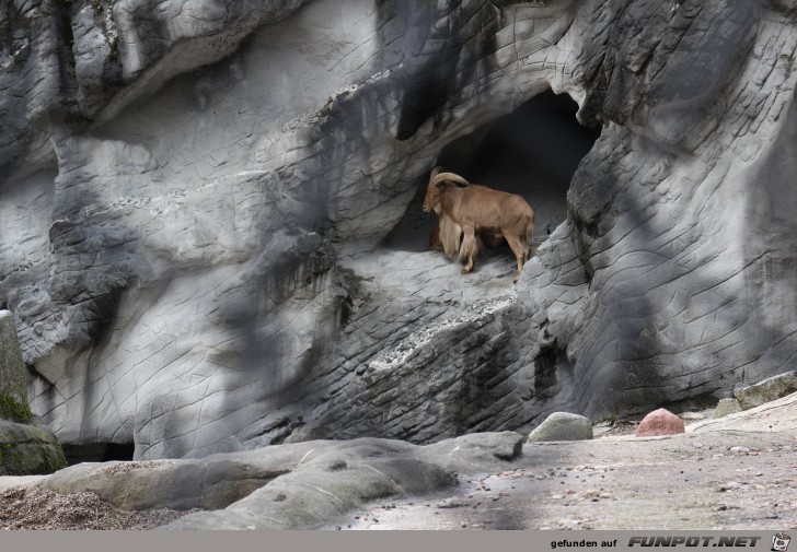 Impressionen aus Hagenbecks Tierpark Teil 6